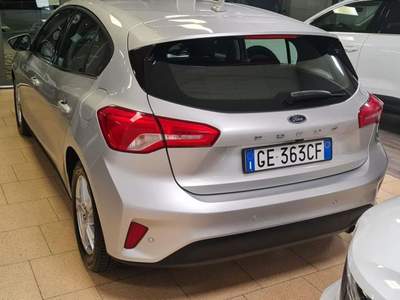 Ford Focus 1.5 EcoBlue 120 CV 5p. Business Argento usata Campobasso