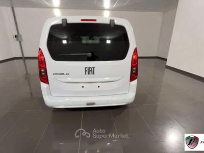 Fiat Doblò  usata Albano Laziale