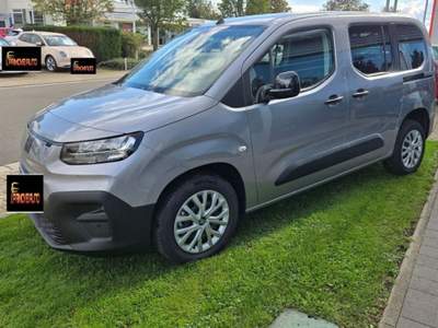 Fiat Doblò Doblò 1.5 BlueHdi 130CV Combi N1 Grigio usata Castelnuovo Rangone