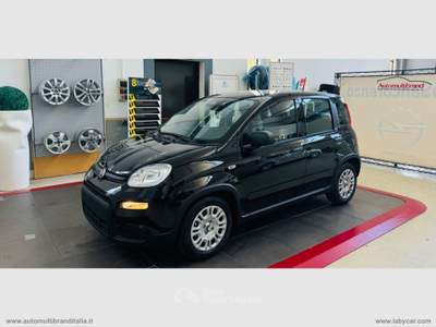 Fiat Panda PANDINA 1.0 70cv Hybrid PANDINA Nero usata Venezia