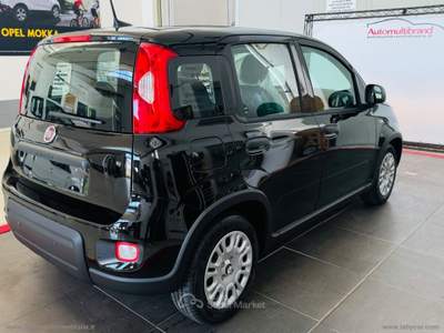 Fiat Panda PANDINA 1.0 70cv Hybrid PANDINA Nero usata Venezia