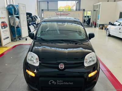 Fiat Panda PANDINA 1.0 70cv Hybrid PANDINA Nero usata Venezia