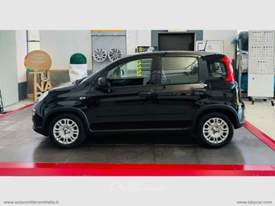 Fiat Panda PANDINA 1.0 70cv Hybrid PANDINA Nero usata Venezia