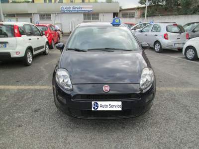 Fiat Punto 1.2 8V 5 porte Lounge Blu/Azzurro usata Roma