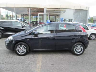 Fiat Punto 1.2 8V 5 porte Lounge Blu/Azzurro usata Roma