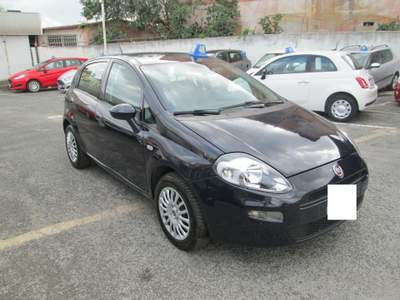 Fiat Punto 1.2 8V 5 porte Lounge Blu/Azzurro usata Roma