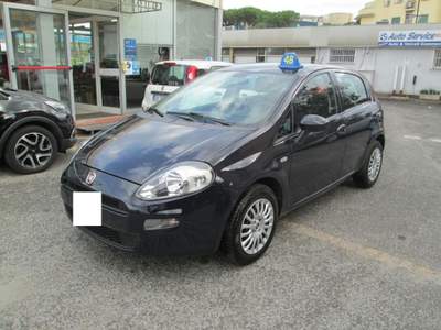 Fiat Punto 1.2 8V 5 porte Lounge Blu/Azzurro usata Roma