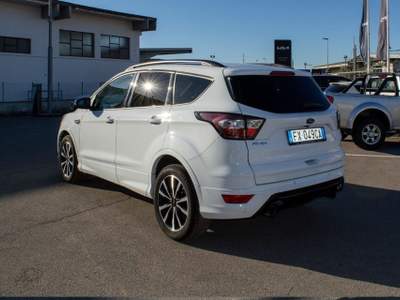Ford Kuga 2.0 TDCI 120 CV S&S 2WD Powershift ST-Line Bianco usata Fondi