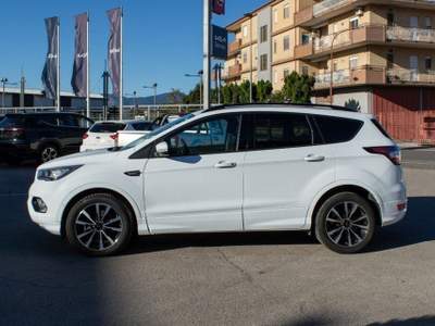 Ford Kuga 2.0 TDCI 120 CV S&S 2WD Powershift ST-Line Bianco usata Fondi