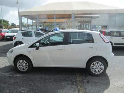 Fiat Punto 1.4 8V 5 porte Natural Power Bianco usata Roma