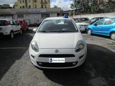 Fiat Punto 1.4 8V 5 porte Natural Power Bianco usata Roma