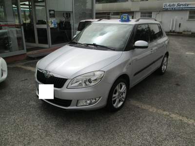 Skoda Fabia 1.2 TSI 105CV 5p. Monte-Carlo Argento usata Roma