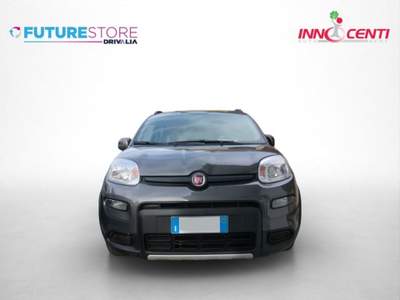 Fiat Panda 1.0 FireFly S&S Hybrid City Life Grigio usata AVERSA