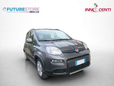 Fiat Panda 1.0 FireFly S&S Hybrid City Life Grigio usata AVERSA