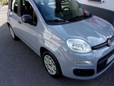 Fiat Panda 1.2 GPL  EasyPower Easy Grigio usata Roma