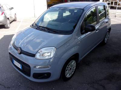 Fiat Panda 1.2 GPL  EasyPower Easy Grigio usata Roma