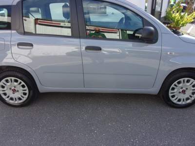 Fiat Panda 1.2 GPL  EasyPower Easy Grigio usata Roma