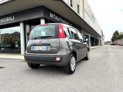 Fiat Panda 1.0 Hybrid S&S Easy Grigio usata Ranica