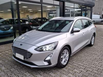 Ford Focus 1.5 EcoBlue 120 CV SW Business Grigio usata Ferrara