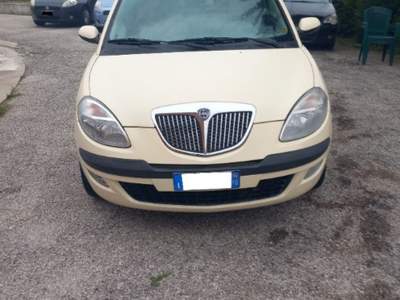 Lancia Ypsilon 1.3 Multijet 16V Oro Beige usata SANT'ANGELO IN VADO