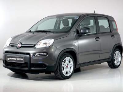 Fiat Panda 1.0 FIREFLY S&amp;S HYBRID Grigio usata Rosignano Marittimo