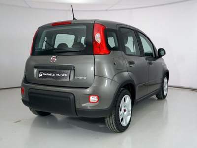 Fiat Panda 1.0 FIREFLY S&amp;S HYBRID Grigio usata Rosignano Marittimo