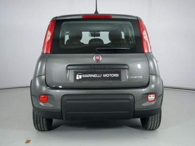 Fiat Panda 1.0 FIREFLY S&amp;S HYBRID Grigio usata Rosignano Marittimo