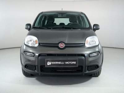 Fiat Panda 1.0 FIREFLY S&amp;S HYBRID Grigio usata Rosignano Marittimo