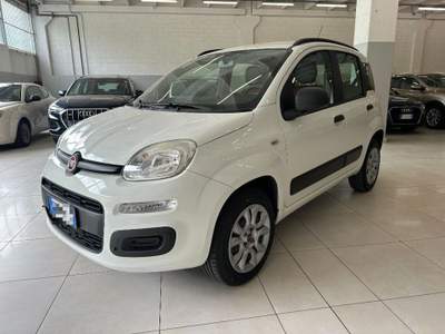 Fiat Panda 0.9 TwinAir Natural Power Easy OK NEOPATENTA Bianco usata Rovetta