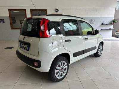 Fiat Panda 0.9 TwinAir Natural Power Easy OK NEOPATENTA Bianco usata Rovetta