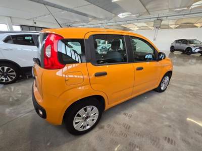 Fiat Panda 1.2 Easy Arancione usata Sanguinetto
