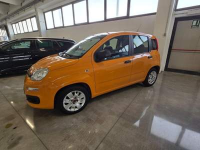 Fiat Panda 1.2 Easy Arancione usata Sanguinetto