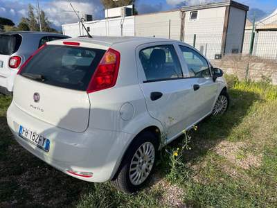 Fiat Punto 1.3 mjt Street s&s 95cv 5p Bianco usata Sassari