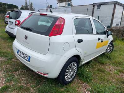 Fiat Punto 1.3 mjt Street s&s 95cv 5p Bianco usata Sassari