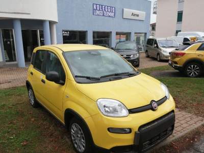 Fiat Panda 1.0 FireFly S&S Hybrid Pandina Giallo usata Alba