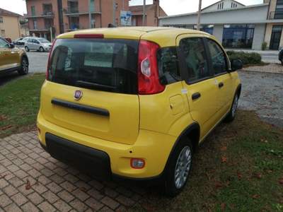 Fiat Panda 1.0 FireFly S&S Hybrid Pandina Giallo usata Alba