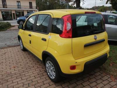 Fiat Panda 1.0 FireFly S&S Hybrid Pandina Giallo usata Alba