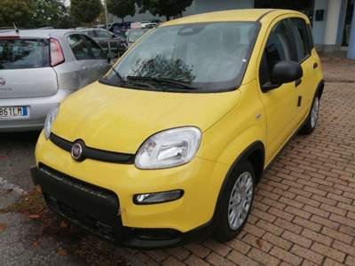 Fiat Panda 1.0 FireFly S&S Hybrid Pandina Giallo usata Alba