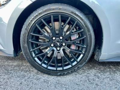 Ford Mustang Fastback 5.0 V8 TiVCT aut. GT, UFF., UNICOP., IVA Argento usata Ponte San Pietro