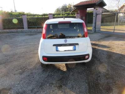 Fiat Panda 1.3 MJT 80 CV S&S Easy Bianco usata MAGENTA