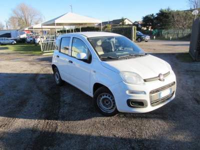 Fiat Panda 1.3 MJT 80 CV S&S Easy Bianco usata MAGENTA