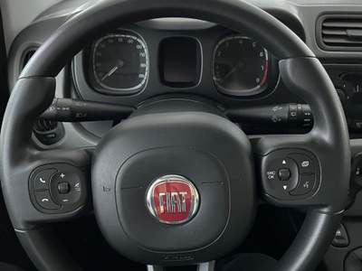 Fiat Panda FIAT PANDA 1.2 GPL LOUNGE 51 KW Bianco usata NAPOLI