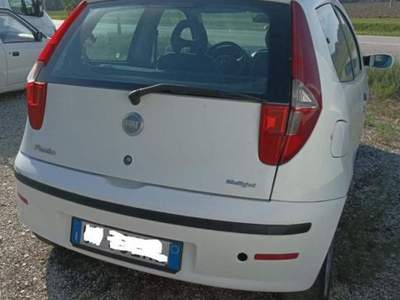 Fiat Punto 1.3 MJT 16V 3p. Active usata Ferrara