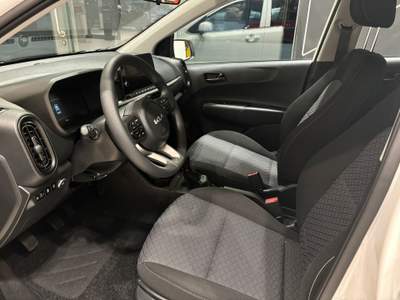 Kia Picanto 1.0 12V 5 porte Urban Bianco usata Firenze