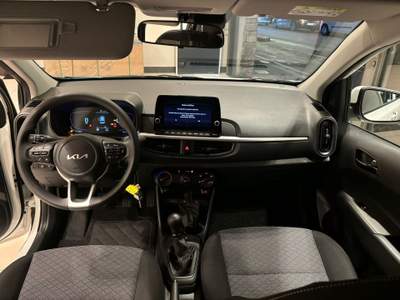 Kia Picanto 1.0 12V 5 porte Urban Bianco usata Firenze