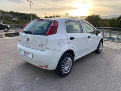 Fiat Grande Punto 1.4 5 porte Dynamic Natural Power OK NEOPATENTATI Bianco usata Savoia di Lucania