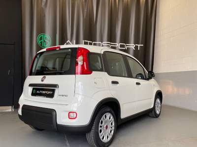 Fiat Panda 1.0 FireFly S&S Hybrid Bianco usata Leini