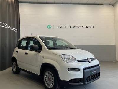 Fiat Panda 1.0 FireFly S&S Hybrid Bianco usata Leini
