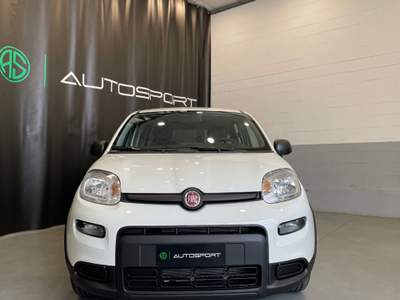 Fiat Panda 1.0 FireFly S&S Hybrid Bianco usata Leini