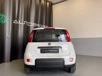 Fiat Panda 1.0 FireFly S&S Hybrid Bianco usata Leini
